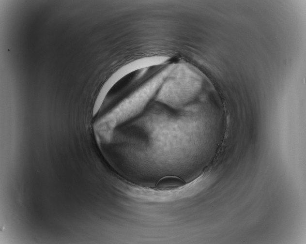 X0000088490048200706121557