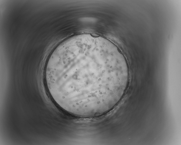 X0000088490049200706121556