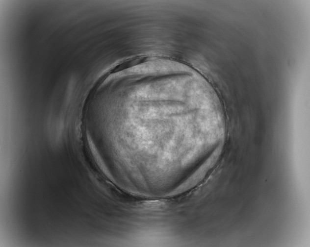 X0000088490050200706121556
