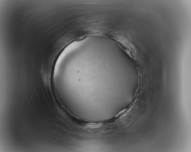 X0000088490051200706121556