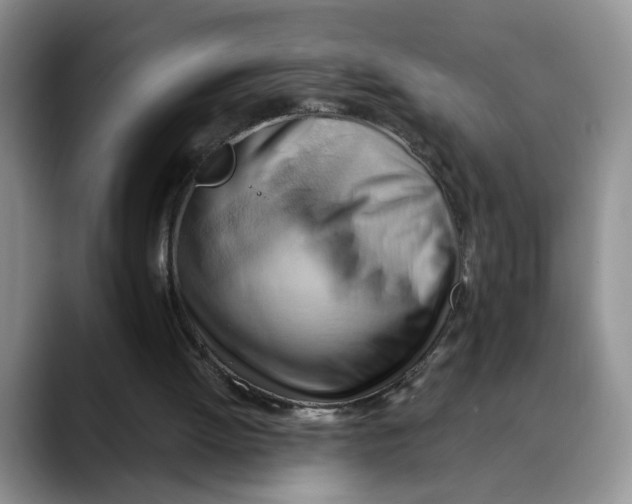 X0000088490052200706121556