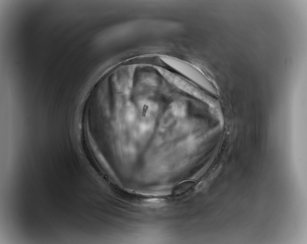 X0000088490053200706121556