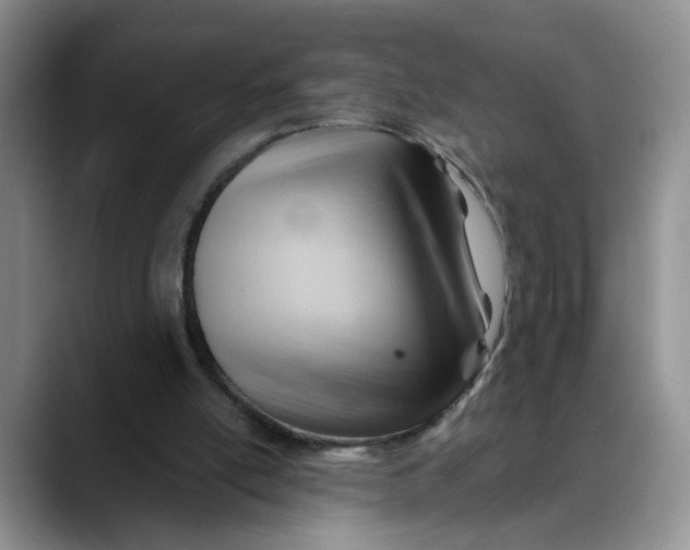 X0000088490054200706121556