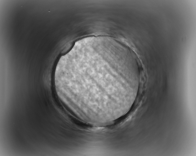 X0000088490055200706121556
