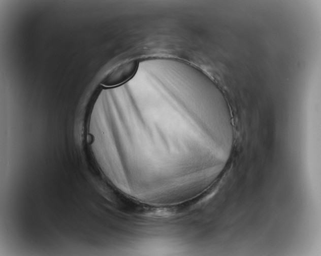 X0000088490056200706121556