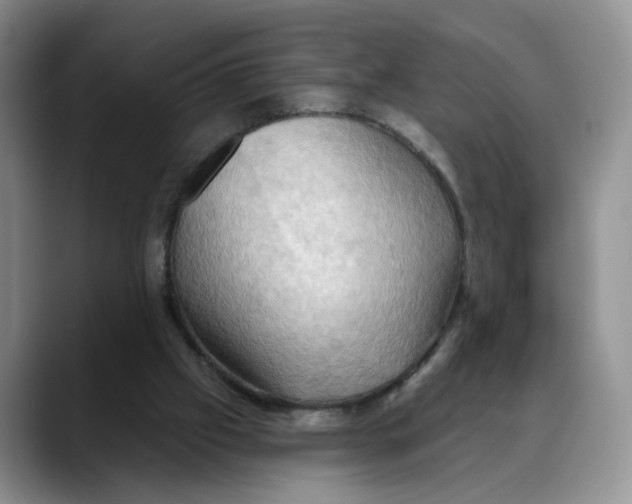 X0000088490057200706121556