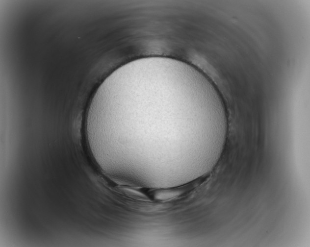 X0000088490058200706121556