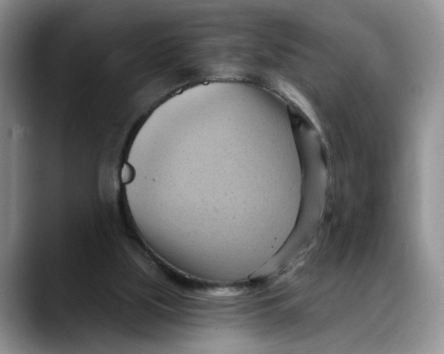 X0000088490059200706121556