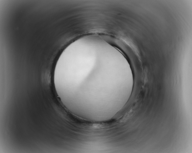X0000088490060200706121556