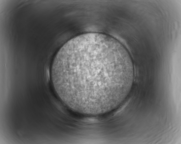 X0000088490061200706121556