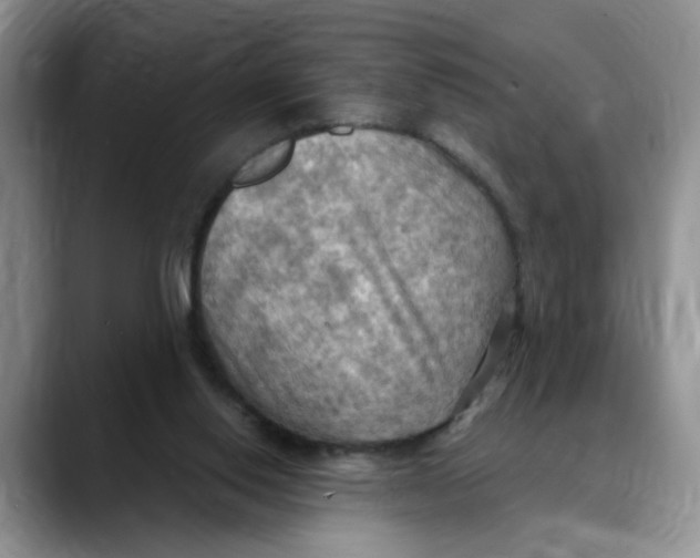 X0000088490062200706121556