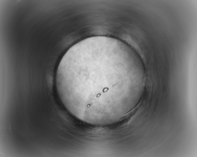X0000088490063200706121556