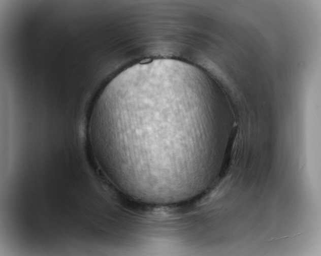 X0000088490064200706121556