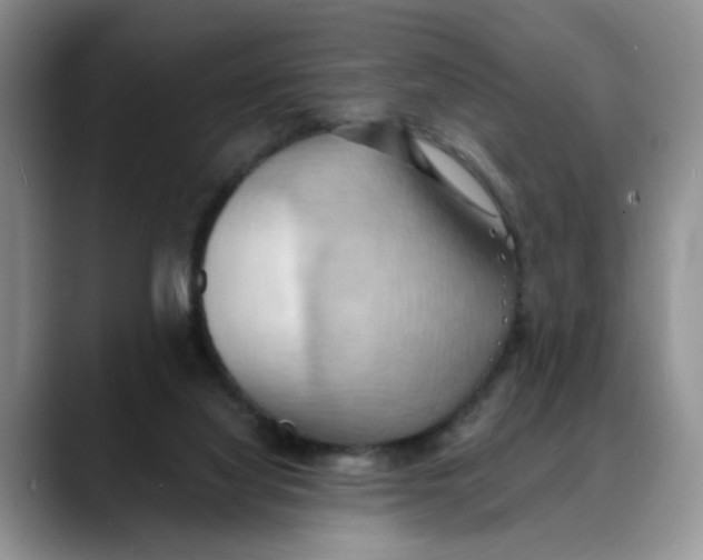 X0000088490068200706121556