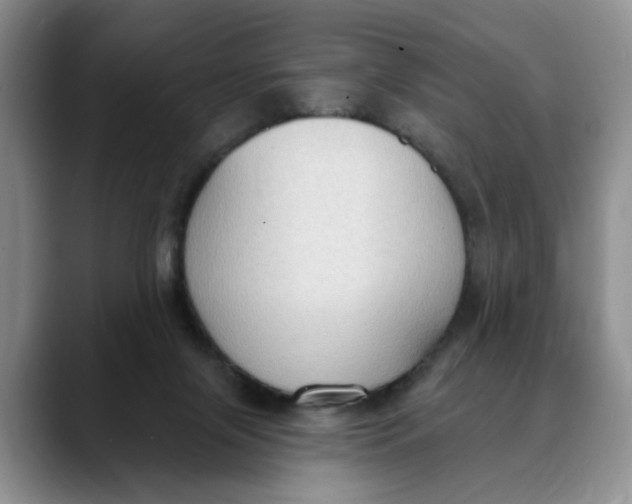 X0000088490071200706121556