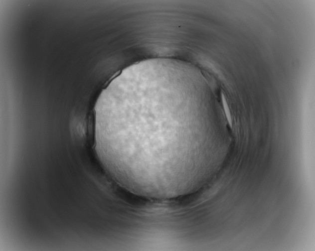 X0000088490072200706121556