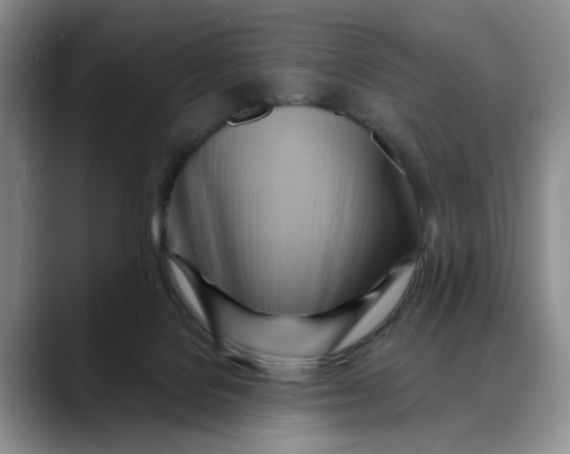 X0000088490076200706121557