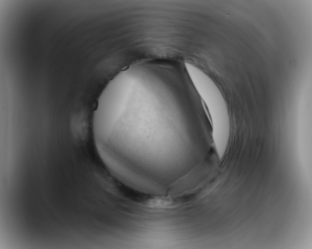 X0000088490080200706121557