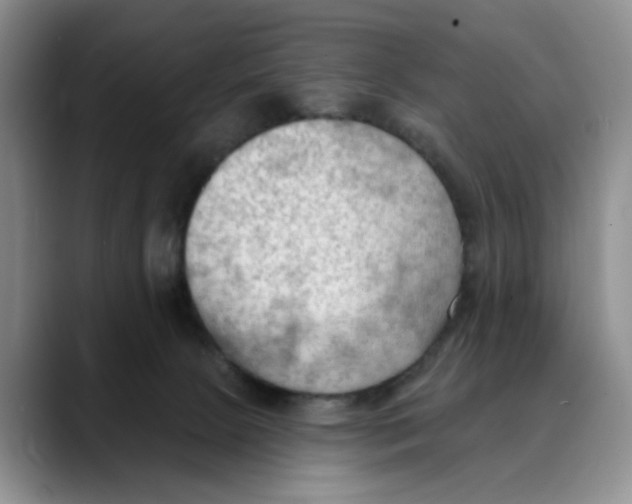 X0000088490081200706121557