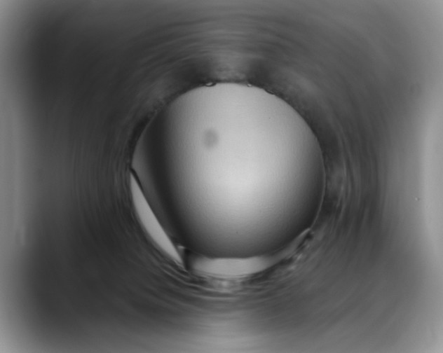 X0000088490084200706121557