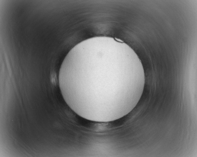 X0000088490089200706121557