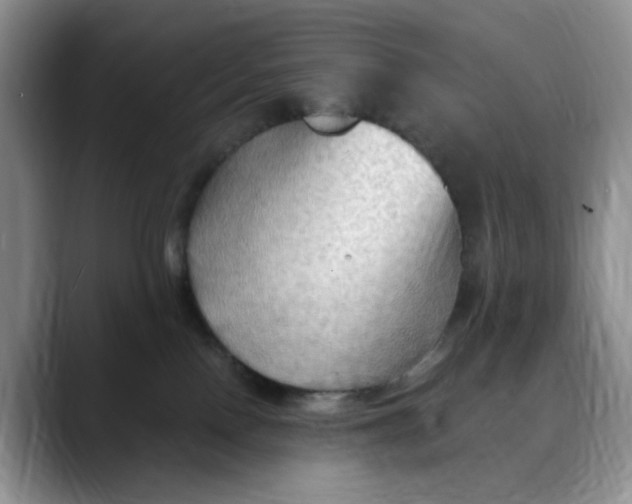 X0000088490090200706121557