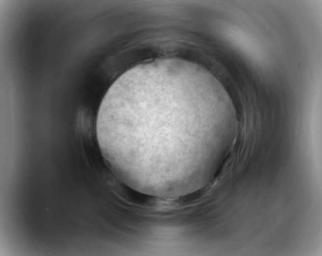 X0000088490093200706121557