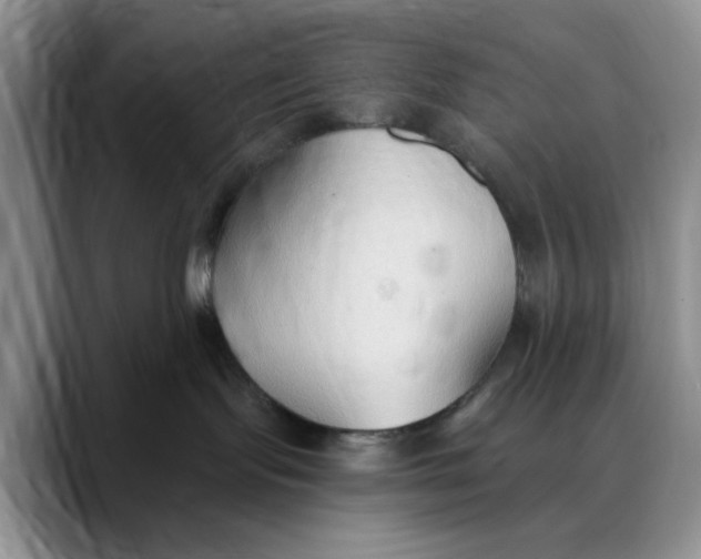 X0000088490095200706121557