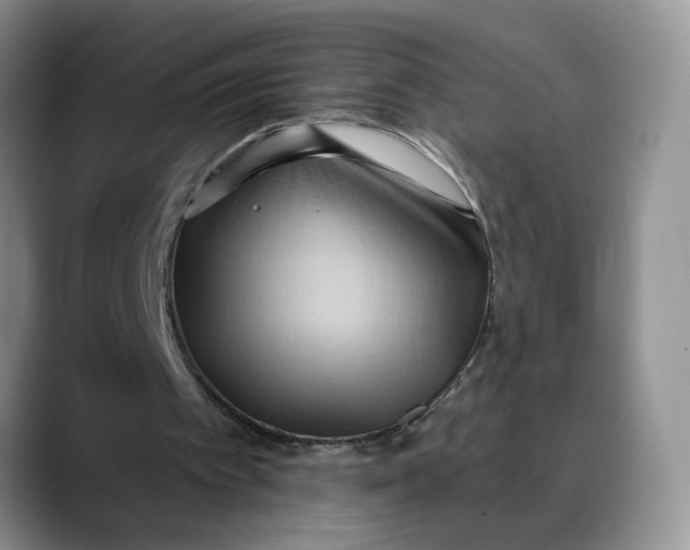 X0000088490097200706121556