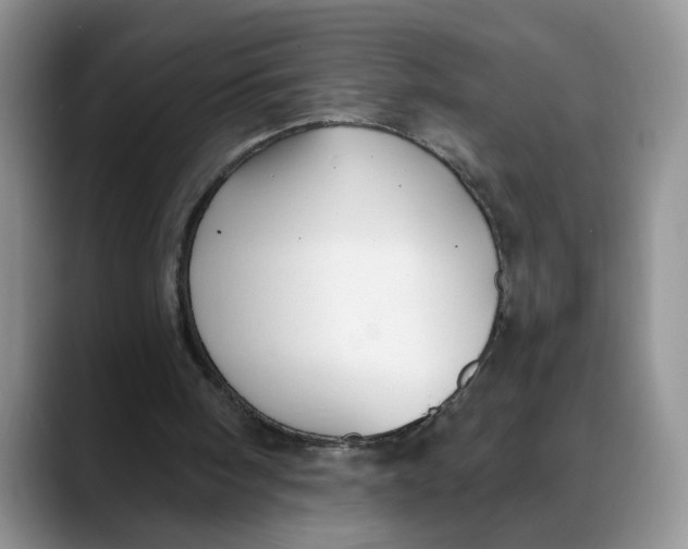 X0000088490098200706121556