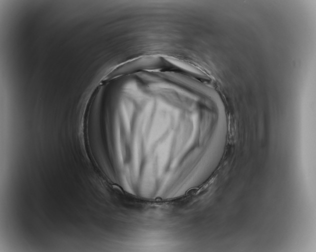 X0000088490099200706121556