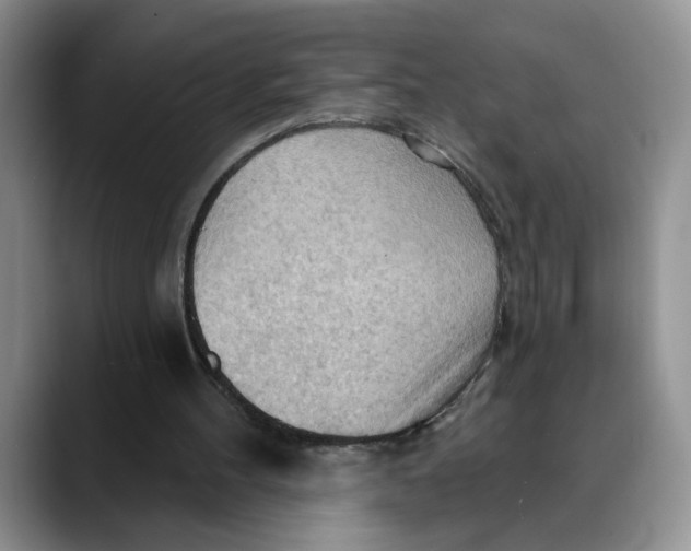 X0000088490100200706121556