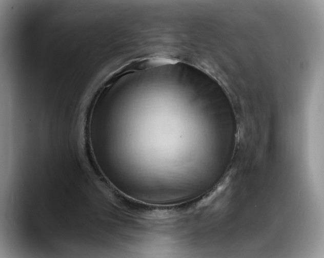X0000088490101200706121556