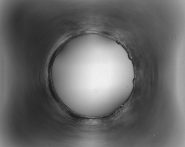 X0000088490102200706121556
