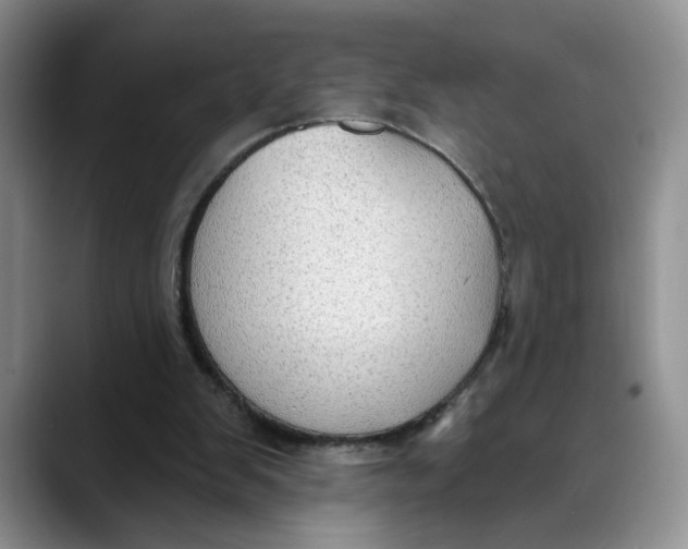 X0000088490103200706121556