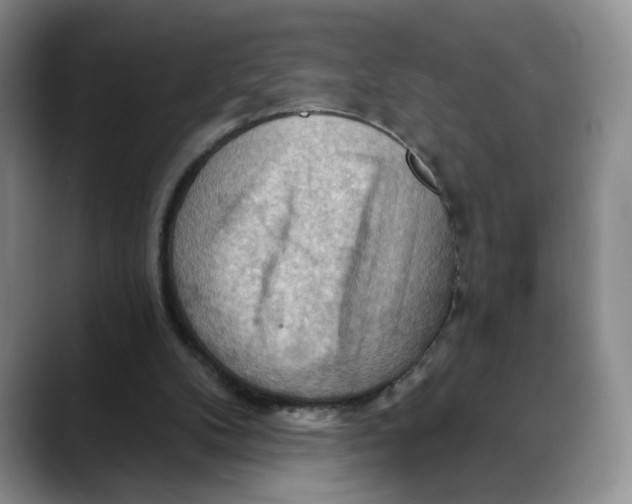 X0000088490104200706121556