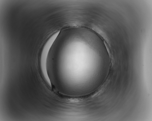X0000088490105200706121556