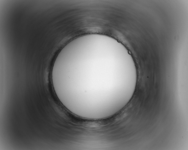 X0000088490106200706121556