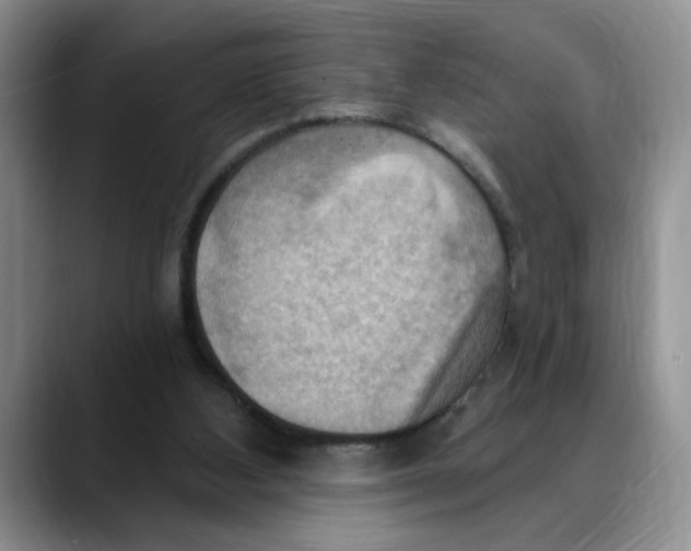 X0000088490108200706121556