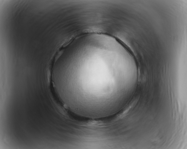 X0000088490109200706121556