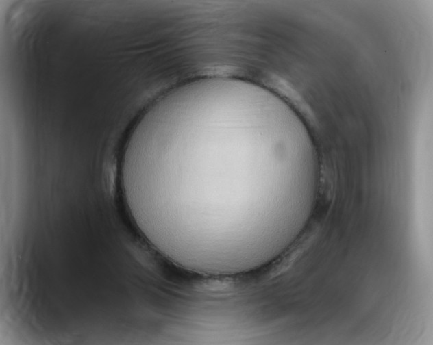 X0000088490110200706121556