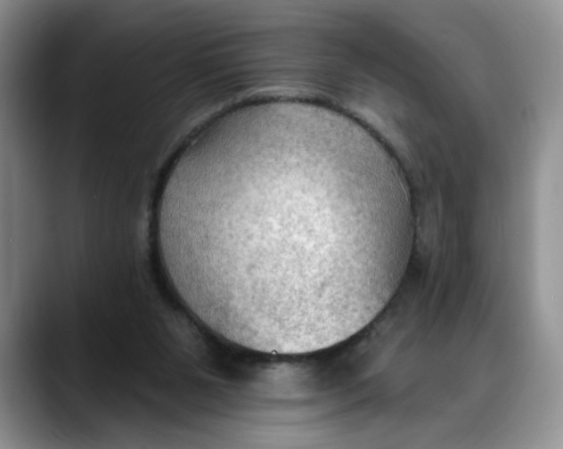 X0000088490111200706121556