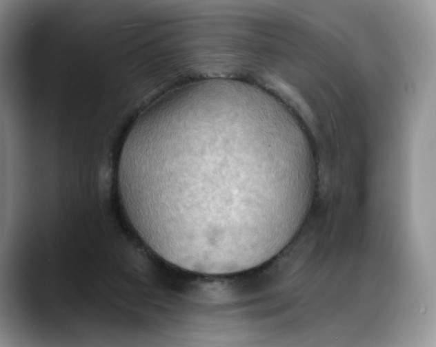X0000088490113200706121556