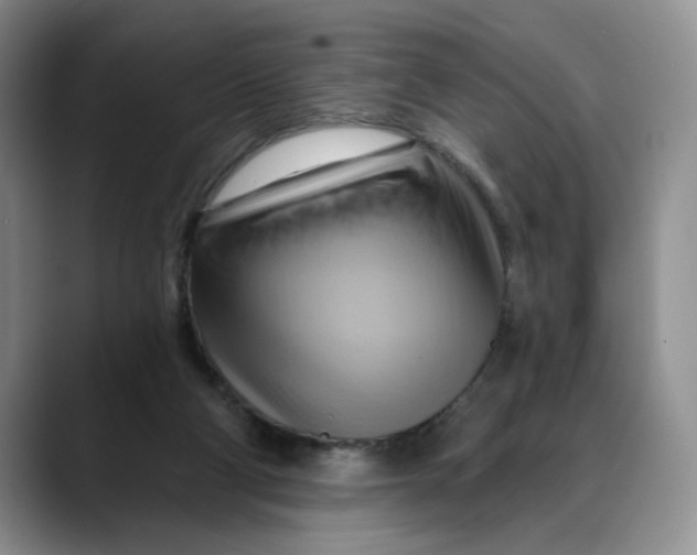 X0000088490114200706121556