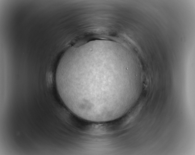 X0000088490117200706121556