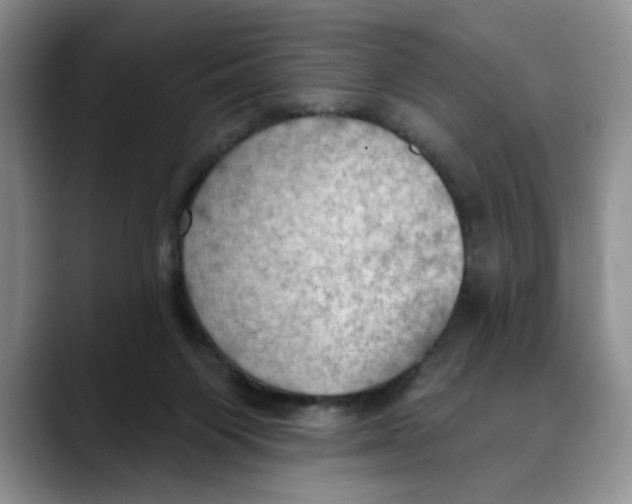 X0000088490119200706121556