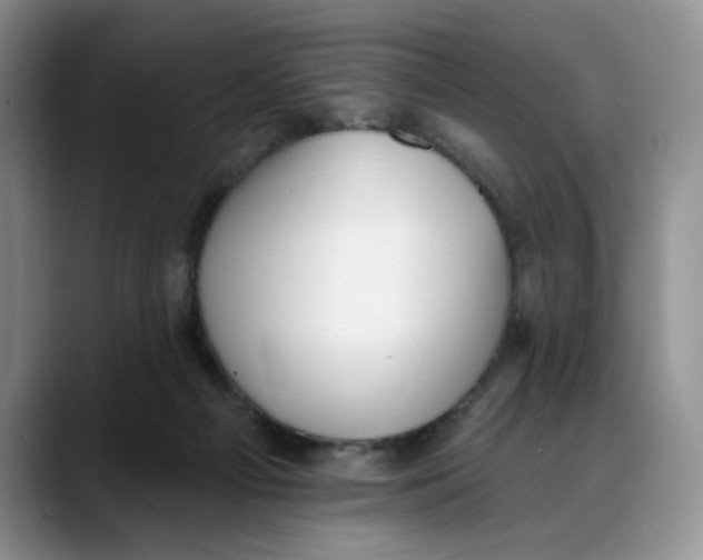 X0000088490121200706121556