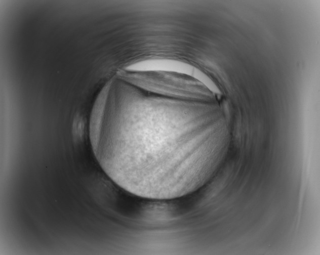 X0000088490123200706121556