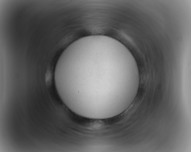 X0000088490124200706121556