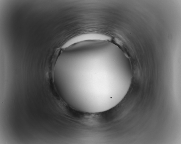 X0000088490125200706121556